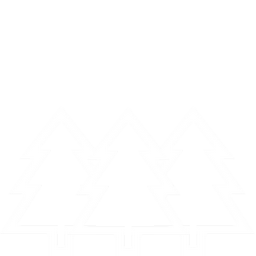 forest foret