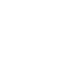 zombie zombie